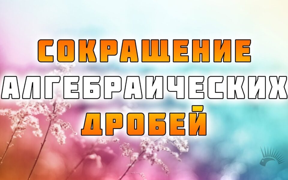 Красивый пейзаж с цветами, символизирующий решение алгебраических дробей.